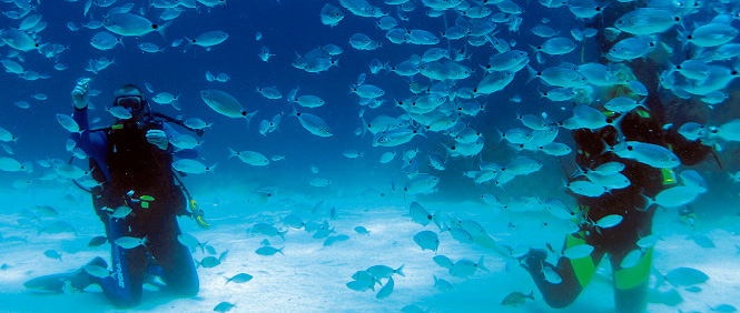 GOZO: Zauber der Kalypsoinsel